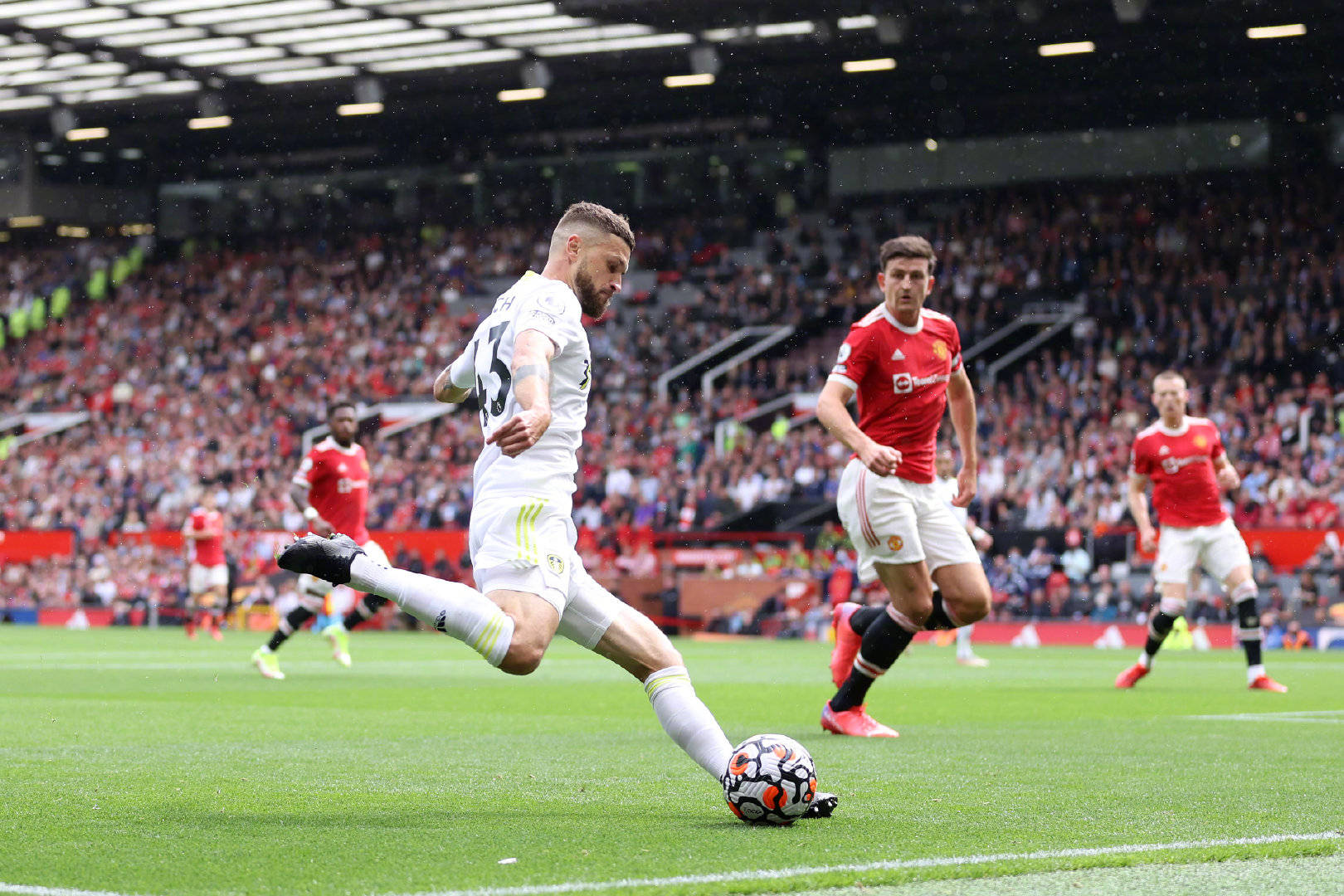 这次所示 这次所示