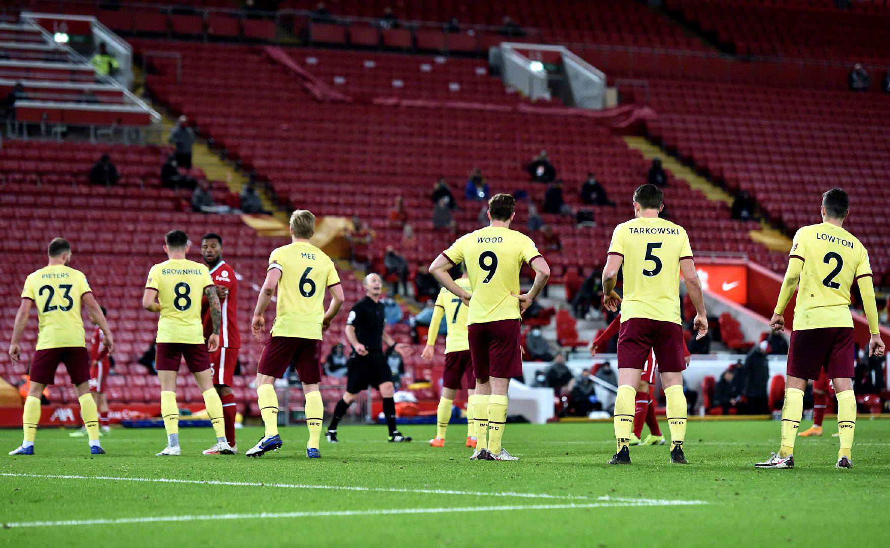 岁月里绽放 岁月里绽放